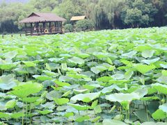 -兰亭风景区