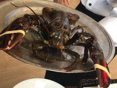 -RED LOBSTER(环球影城大阪店)