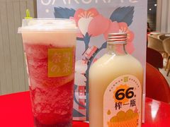 霸气玉油柑-奈雪的茶(中海环宇荟店)