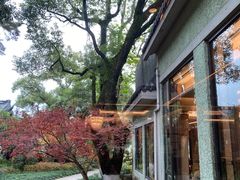 -浙江西子宾馆·瑶园咖啡厅