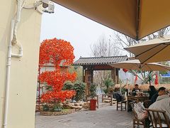 -后湖小院·乡野田园菜