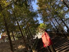 -大罗山风景区