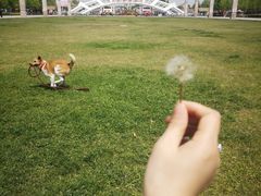 -石家庄市植物园
