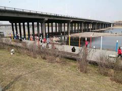 -长白岛森林公园