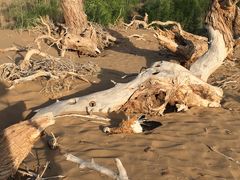 -亿利库布其七星湖沙漠生态旅游区