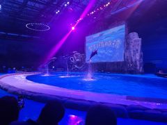 -华夏文旅海洋公园