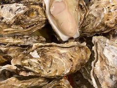 -千岛蚝高压锅生蚝·人参火锅(白云万达店)