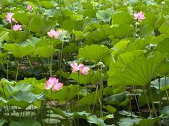 -承德避暑山庄景区