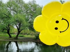 -上海共青森林公园