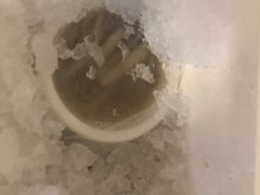 -安海长火土笋冻