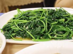 蒜蓉炒番薯叶-巫记鸡饭店