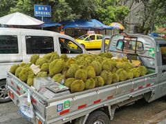 -双福水果批发市场