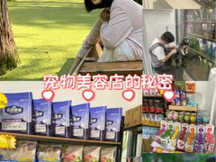 -渌洋湖湿地公园