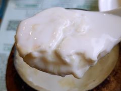 原只椰子炖双皮奶-仁信老铺(华盖路店)