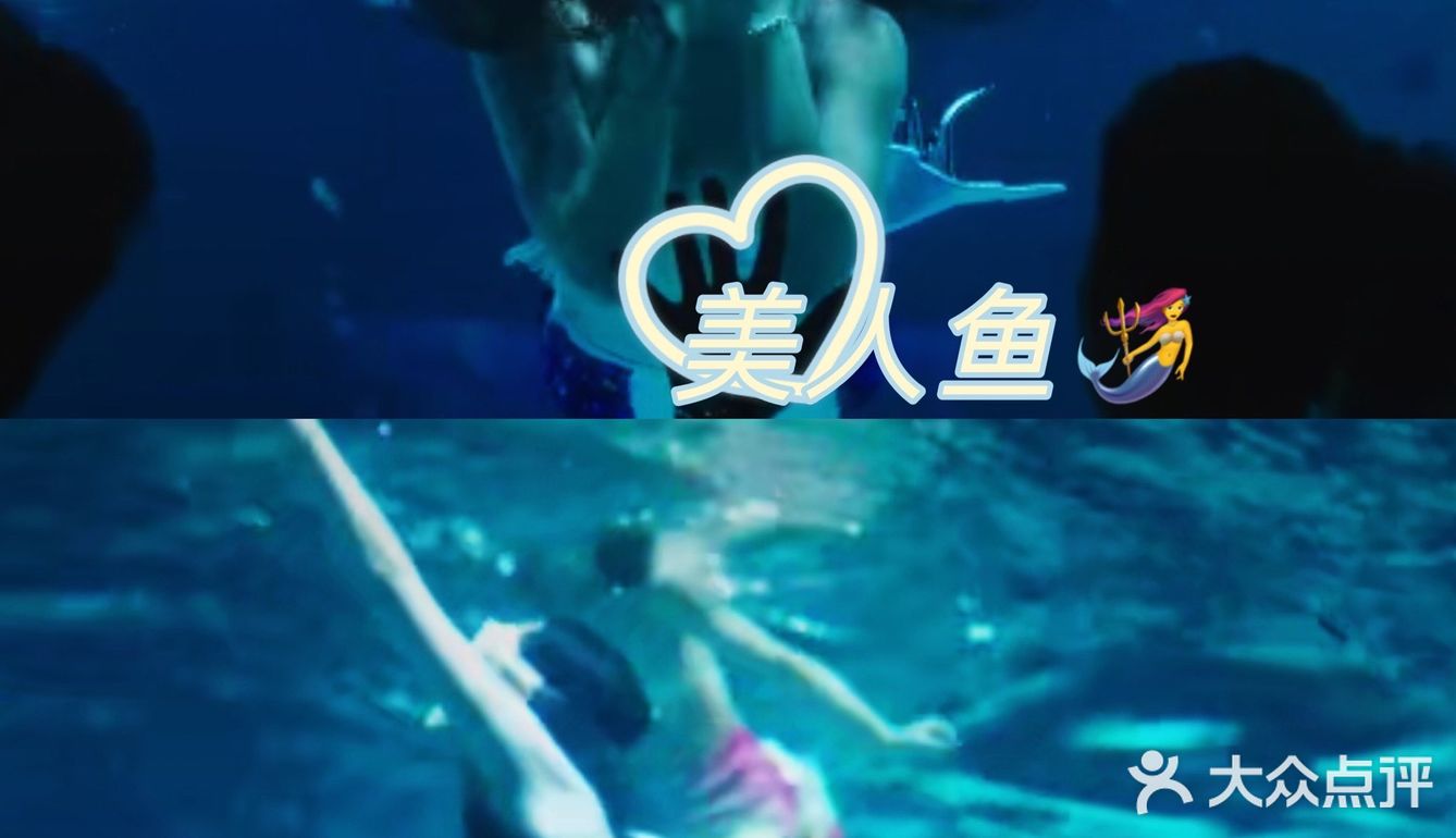 🐬🐬夏日遛娃好去处～青岛海昌极地海洋公园