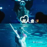 🐬🐬夏日遛娃好去处～青岛海昌极地海洋公园