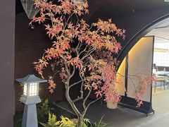 -椿杨樘·明康泡浴养生馆(重庆店)