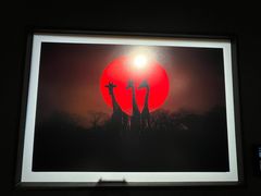 -罗红摄影艺术馆