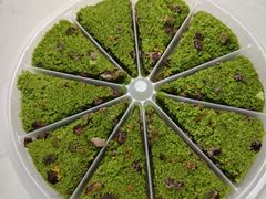 -蟹天蟹地农家菜·阳澄湖大闸蟹(浅水湾店)