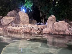 -湖泉半山温泉