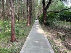 -同里国家湿地公园