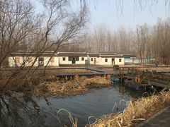 -溱湖国家湿地公园