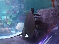 -沈阳海洋探索中心