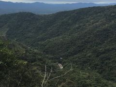 -海南热带雨林国家公园吊罗山景区