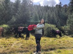 -山丹皇家马场