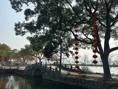 -无锡蠡湖国家湿地公园-蠡园