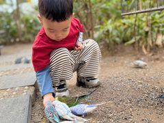 -南宫五洲植物乐园