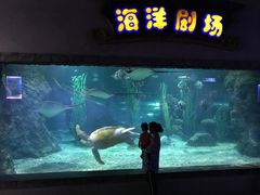 -南昌海洋公园