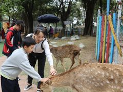 -广东花都香草世界旅游度假区