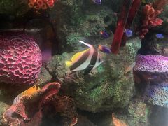 -沈阳海洋探索中心