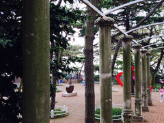 iphone_upload_pic-八大关景区