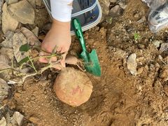 -全优加早教托育园(广百新一城店)