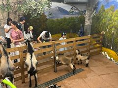 -正佳雨林生态植物园
