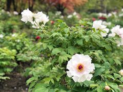 -江南大学(蠡湖校区)