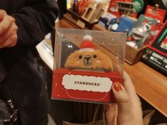 -星巴克臻选(沈阳万象城店)