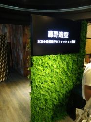 -藤野造型