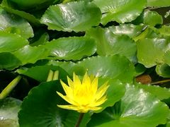 -苏州河梦清园环保主题公园