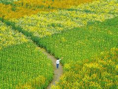 -中国天府农业博览园