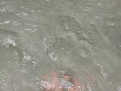 -大盘山温泉山庄