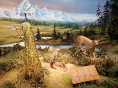 -陕西自然博物馆