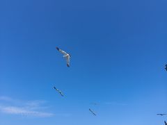 -海驴岛(荣成市)