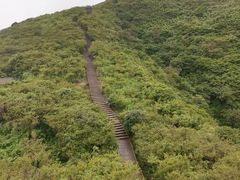 -大围山国家森林公园