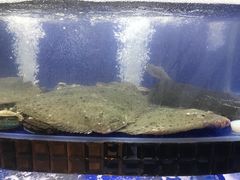 -小饕荟养生火锅(仁和·熙春郡店)
