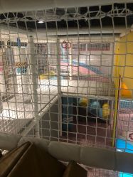 -汤姆猫亲子乐园(保利Mall店)