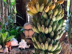 大堂-自然餐厅(Phuket)