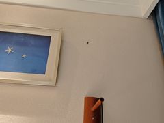 -秦皇岛阿尔卡迪亚滨海度假酒店